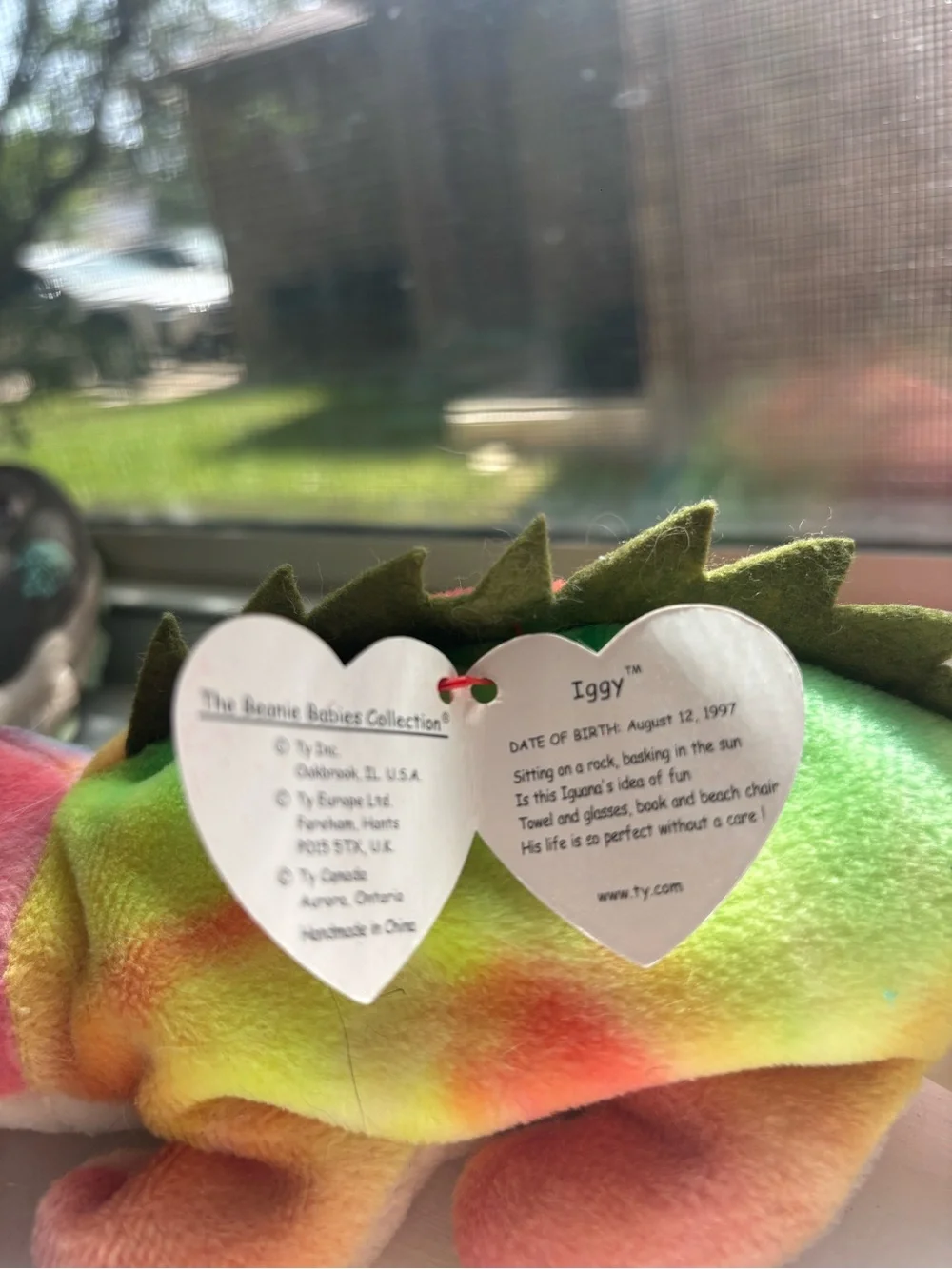 TY Beanie Baby Multicolor Chameleon Plush and TINY Chihuahua